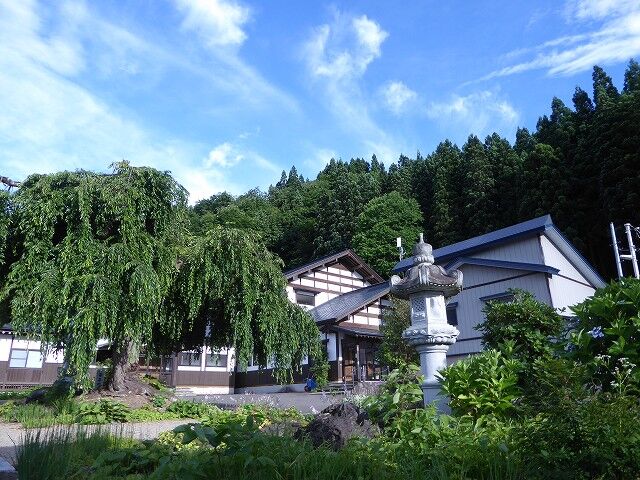 善龍寺 湯沢市 くぐる鳥居は鬼ばかり