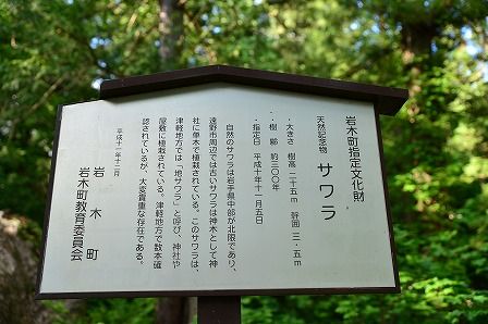 イメージ 46