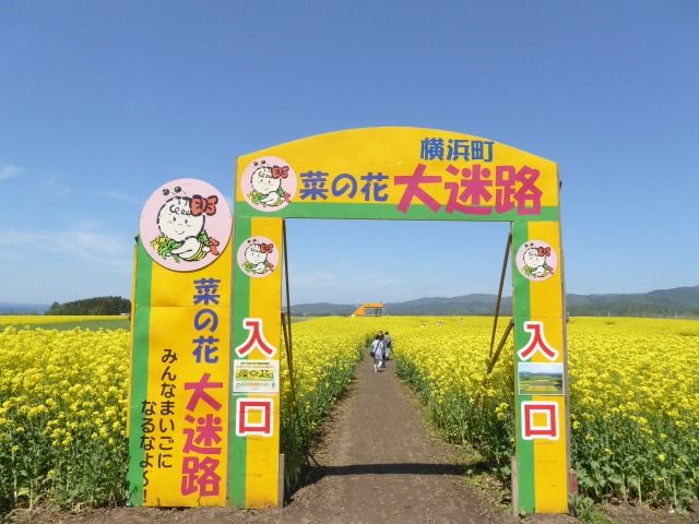 イメージ 19