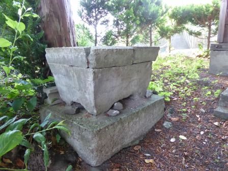 イメージ 41