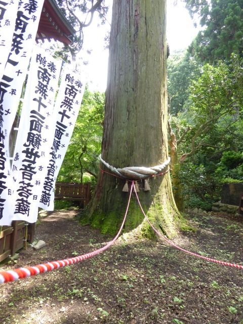 イメージ 43