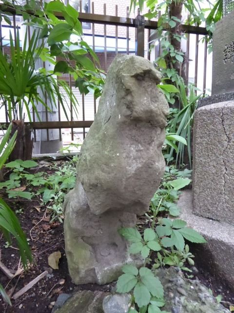 イメージ 21
