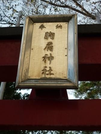 イメージ 6
