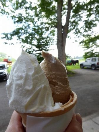 イメージ 26