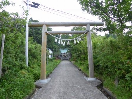 イメージ 17