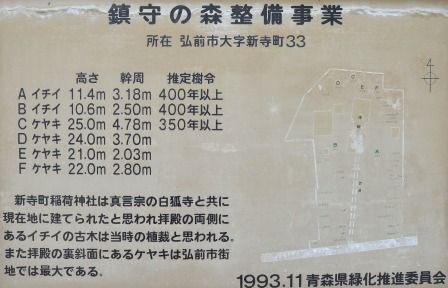 イメージ 5