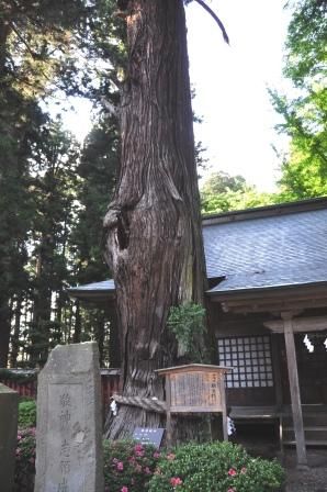 イメージ 36