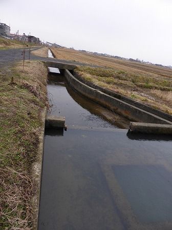 イメージ 8