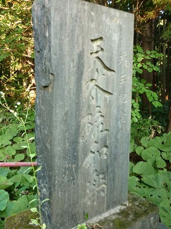 イメージ 31