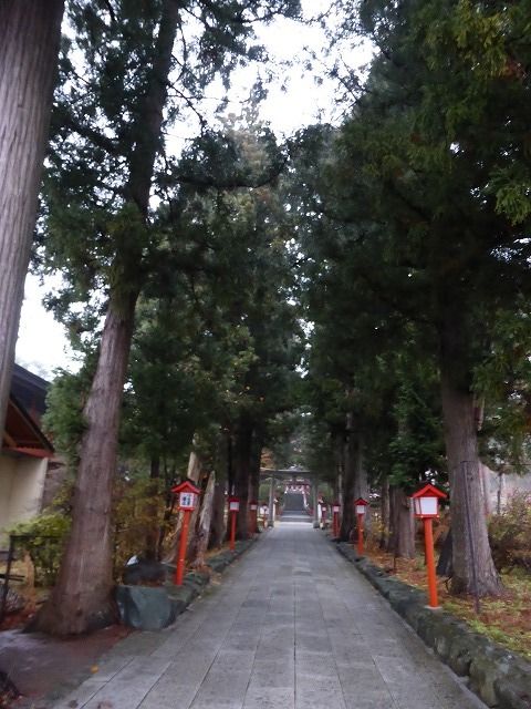 イメージ 14