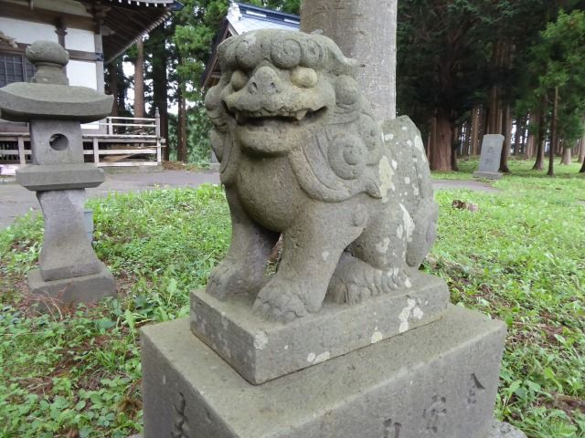 イメージ 16