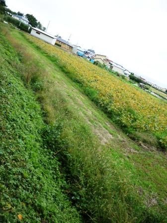 イメージ 35