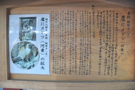 イメージ 11