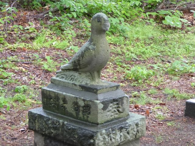 イメージ 14