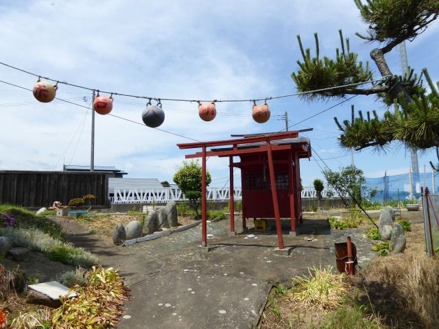 イメージ 13