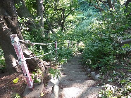 イメージ 14