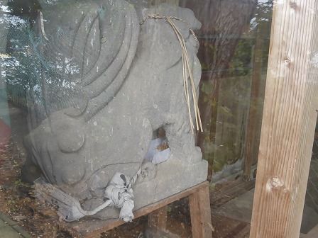 イメージ 11