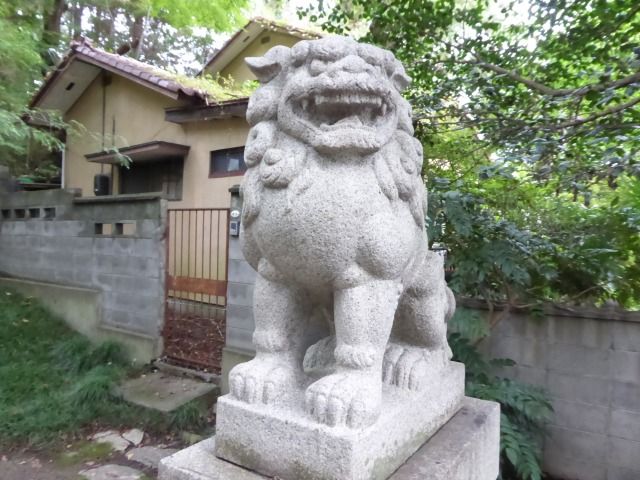 イメージ 15