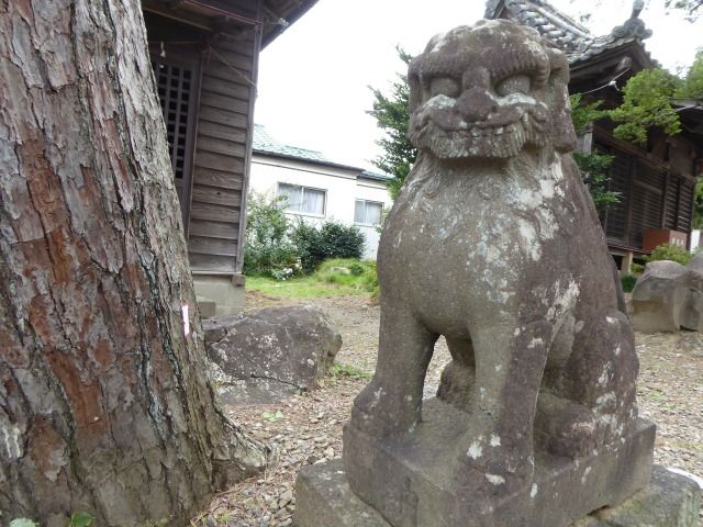 イメージ 23
