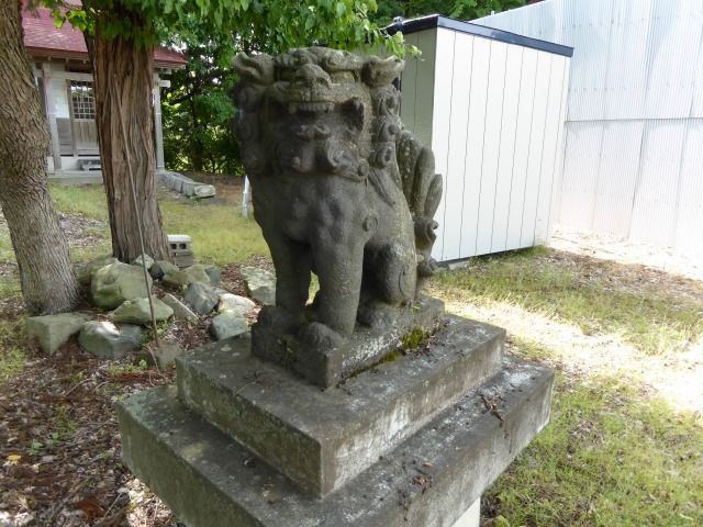 イメージ 8