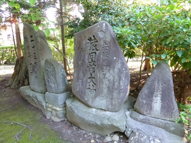 イメージ 47