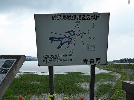 イメージ 9