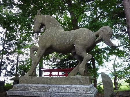 イメージ 11