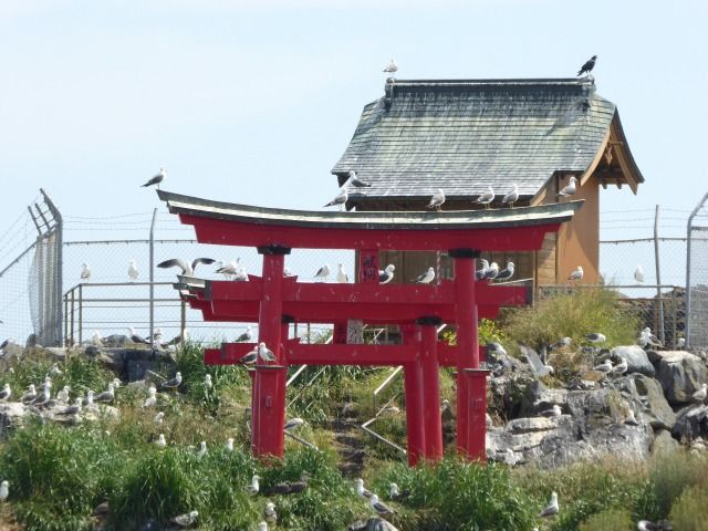 イメージ 11