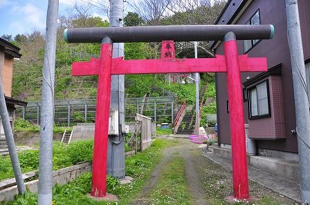 イメージ 1