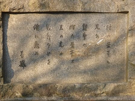 イメージ 6