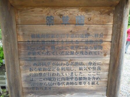 根城の広場 (根城跡 / 八戸市) : くぐる鳥居は鬼ばかり 根城の広場 (根城跡 / 八戸市) : くぐる鳥居は鬼ばかり