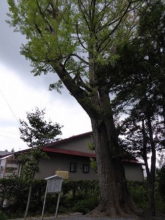 イメージ 18