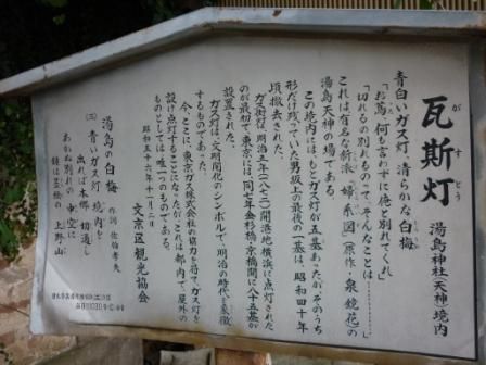 イメージ 19