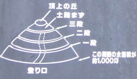 イメージ 19