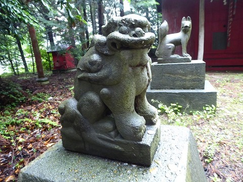 10.2