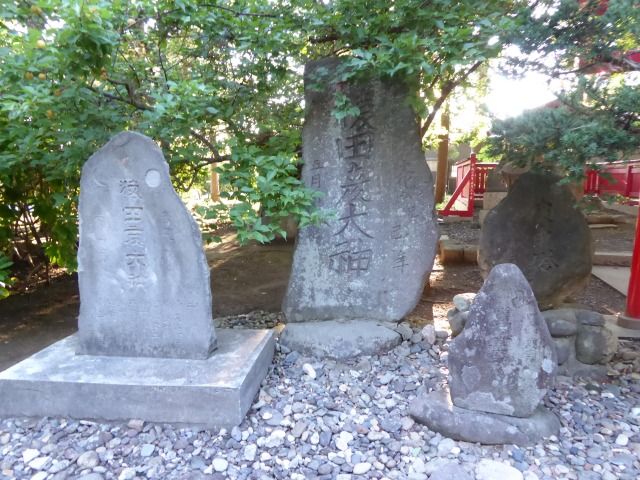 イメージ 46