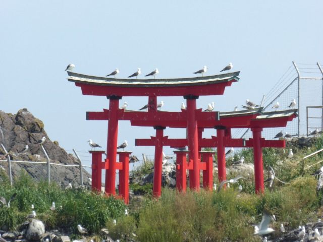 イメージ 6