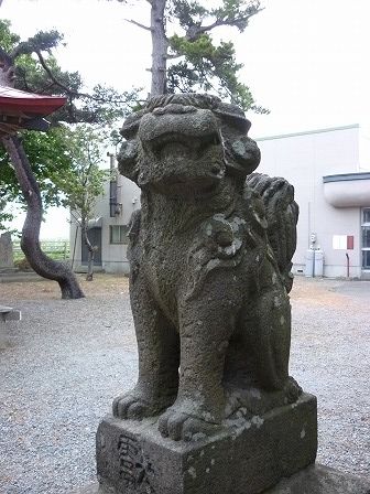 イメージ 7