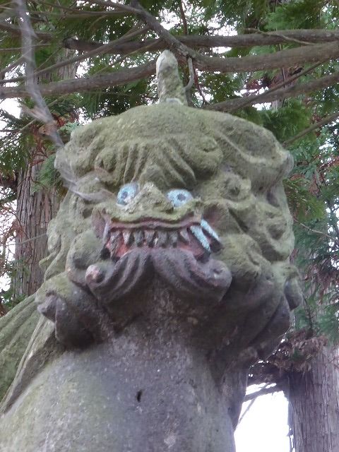 イメージ 9