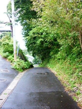 イメージ 8