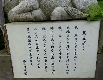 イメージ 35
