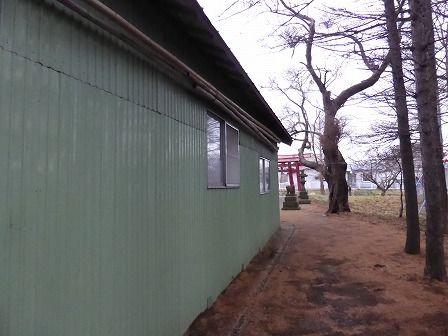イメージ 6