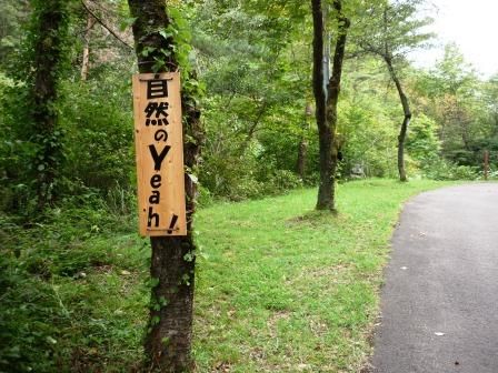 イメージ 34