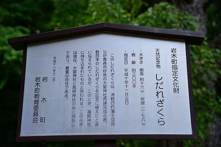 イメージ 19