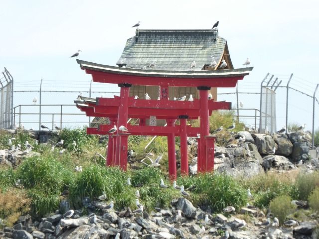 イメージ 10