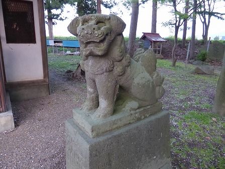 イメージ 15