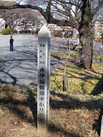 イメージ 17