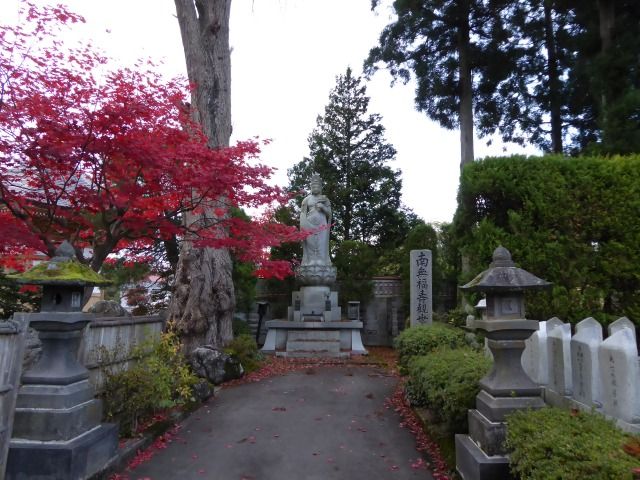 イメージ 52