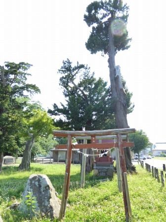 イメージ 8
