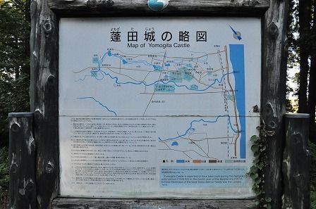イメージ 5